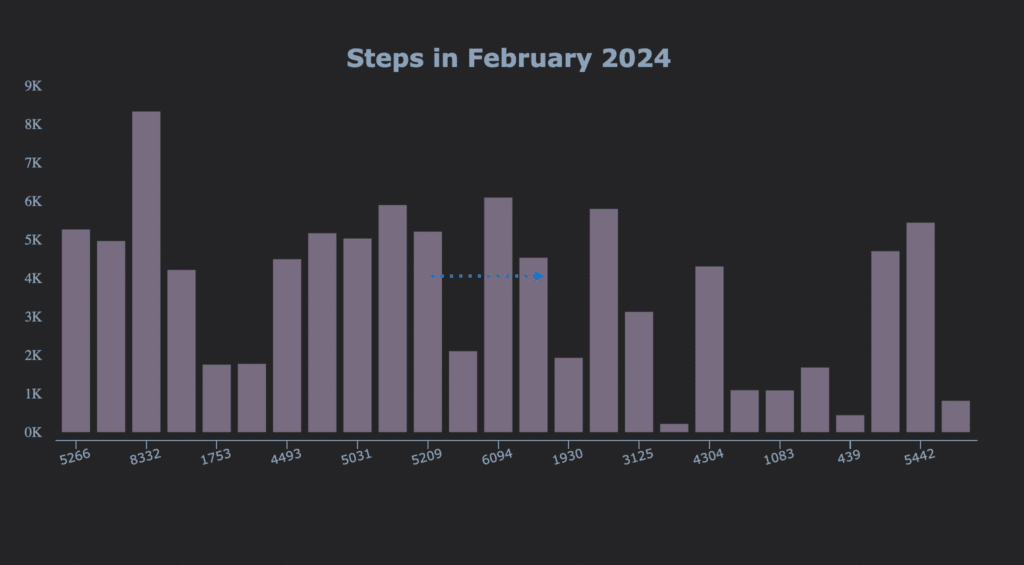 Steps Walked | Why Anchoring is an Important Concept in Goal-Setting and Productivity | February 2024 Productivity Report | The Swedish Organizer