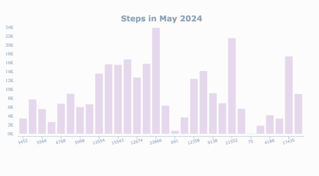 Steps Walked | May 2024 Productivity Report: The Best Kind of Productivity Creates Impact and Opportunity | The Swedish Organizer