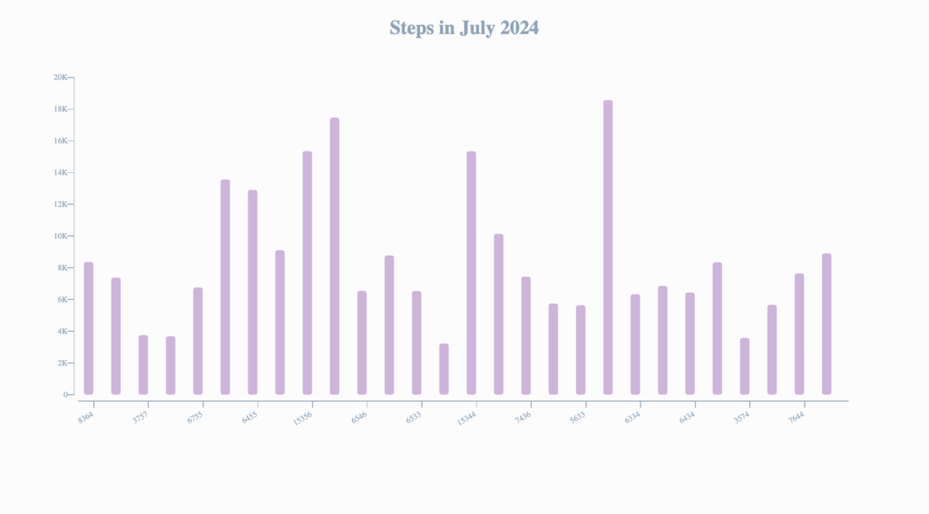 Steps Walked | Here's What Happens When Preparation Meets Opportunity | July 2024 Productivity Report | The Swedish Organizer