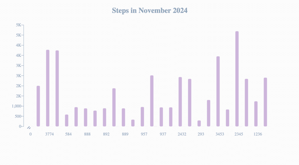 2024 11 Steps Walked