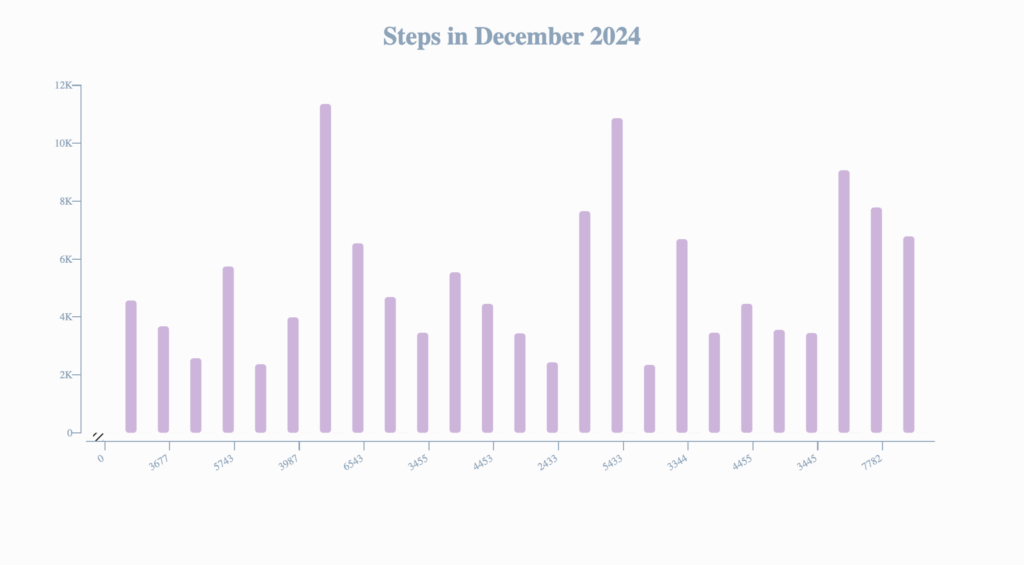 Steps Walked | December 2024 Productivity Report: Skillful Life Navigation Requires Both a Compass and a Map | The Swedish Organizer