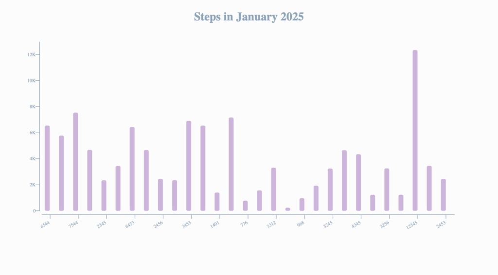 January 2025 Productivity Report | A Resolution is Only the First Step Towards Meeting Your Goal | The Swedish Organizer