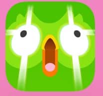 Duolingo | When the Timing is Right, the Solution Arrives | April 2025 Productivity Report | The Swedish Organizer